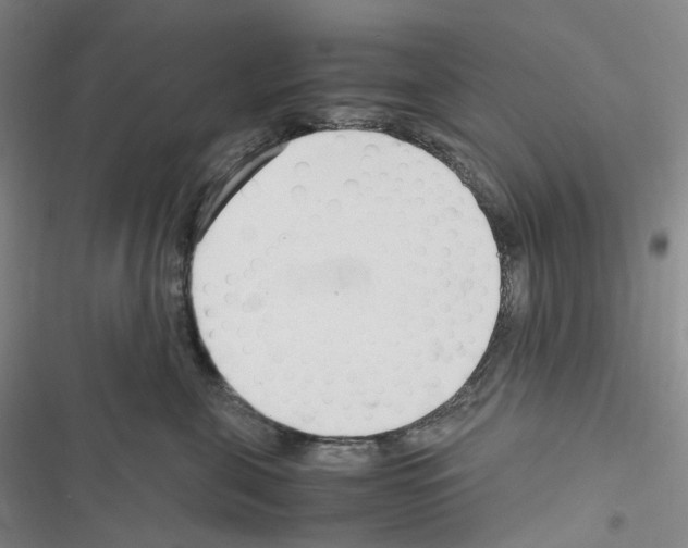 X0000116680571201001251302