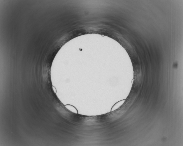 X0000116680574201001251302