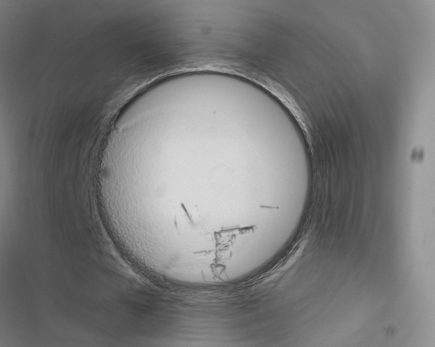 X0000116680577201001251302