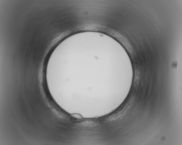 X0000116680578201001251302