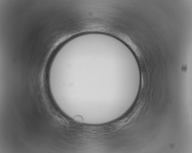 X0000116680579201001251302