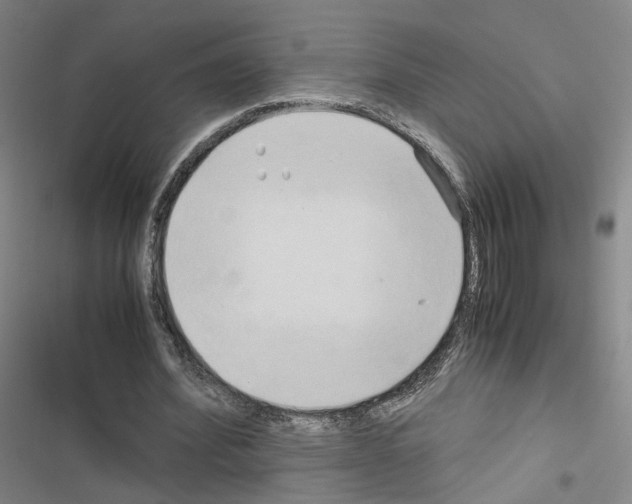 X0000116680580201001251302