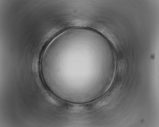 X0000116680581201001251302