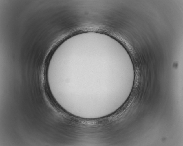 X0000116680582201001251302