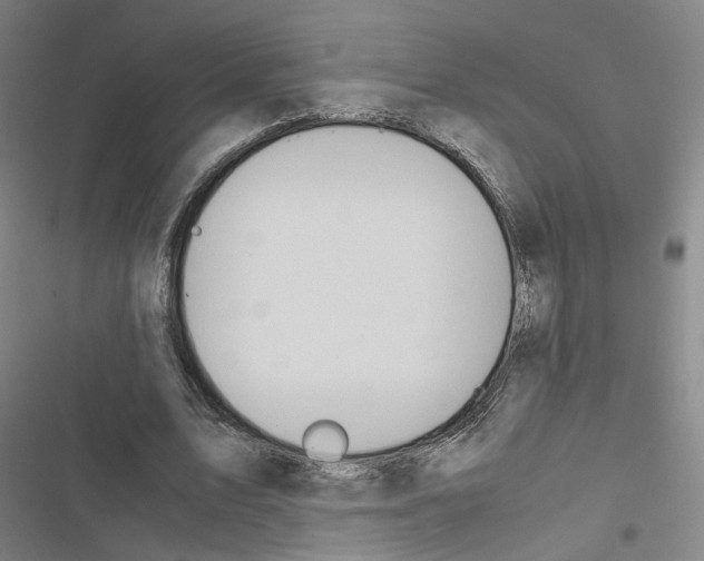 X0000116680583201001251302