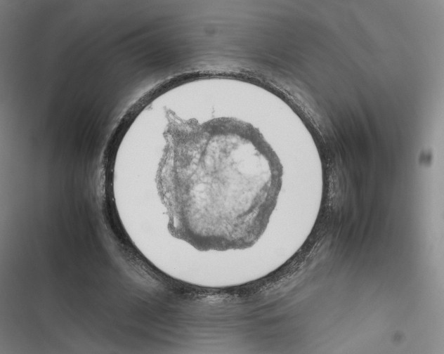 X0000116680584201001251302