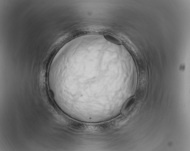 X0000116680585201001251302