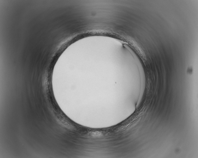 X0000116680588201001251302