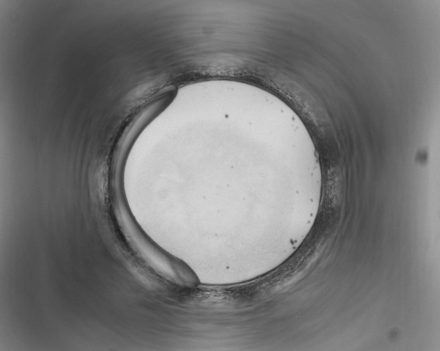 X0000116680589201001251302