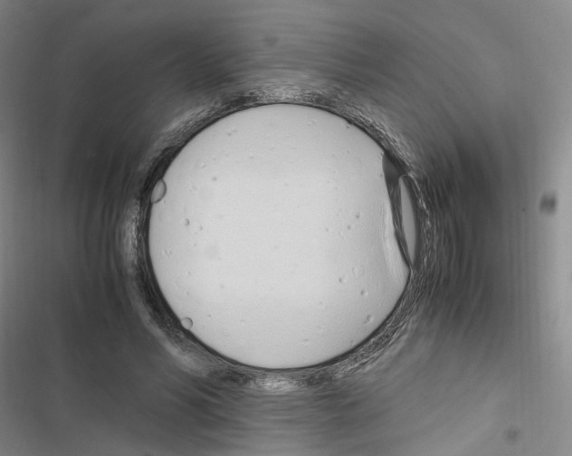 X0000116680590201001251302