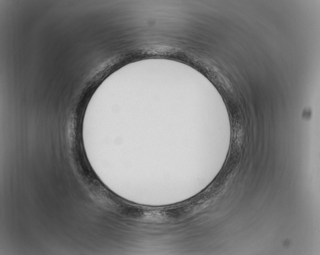 X0000116680591201001251302