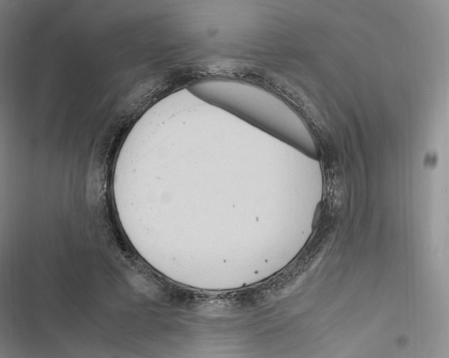 X0000116680593201001251302