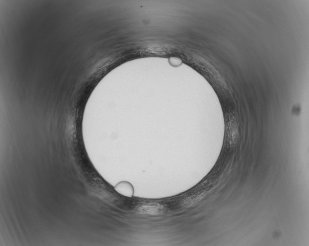 X0000116680595201001251302