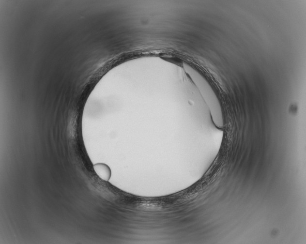 X0000116680596201001251302