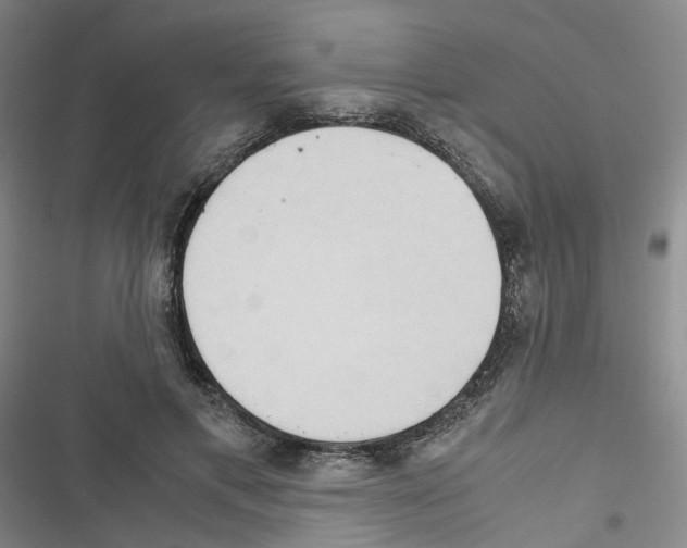 X0000116680597201001251302