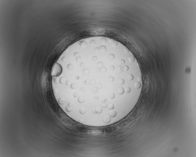 X0000116680598201001251301