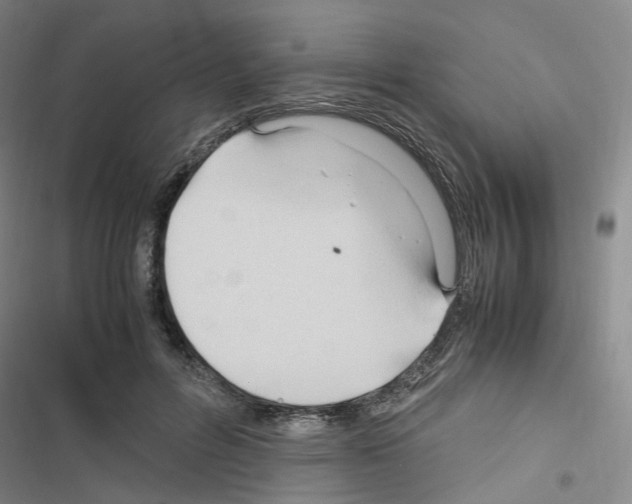 X0000116680600201001251301