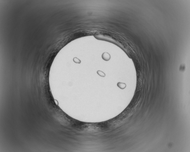 X0000116680601201001251301