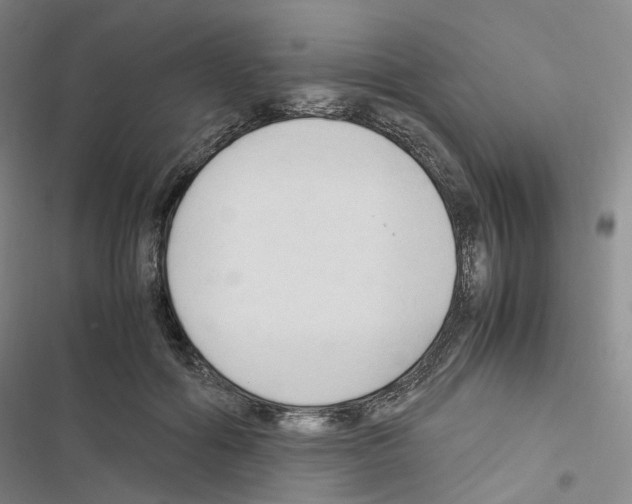 X0000116680602201001251301