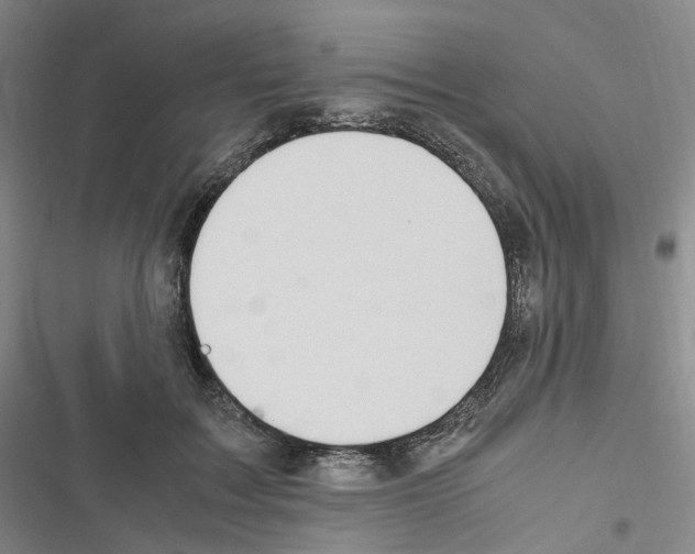 X0000116680603201001251301