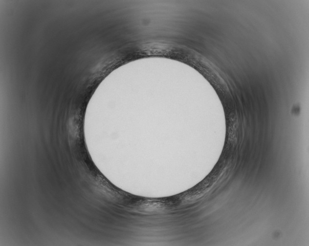 X0000116680604201001251301