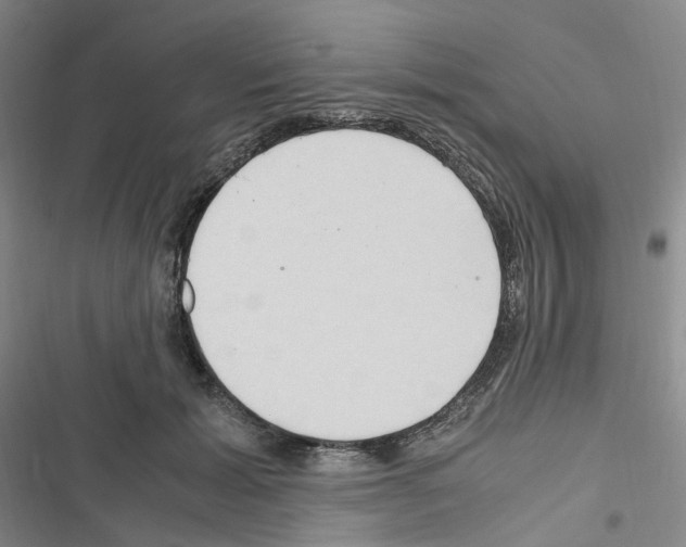 X0000116680605201001251301