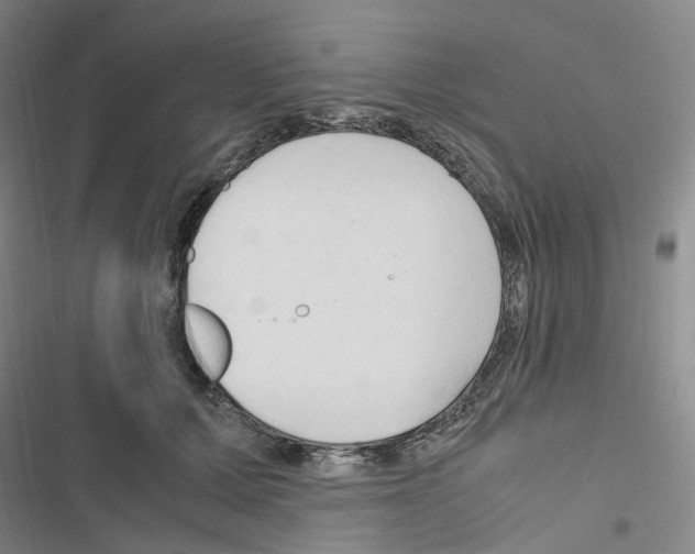 X0000116680607201001251301