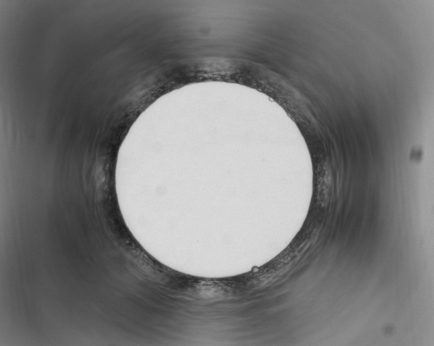 X0000116680608201001251301