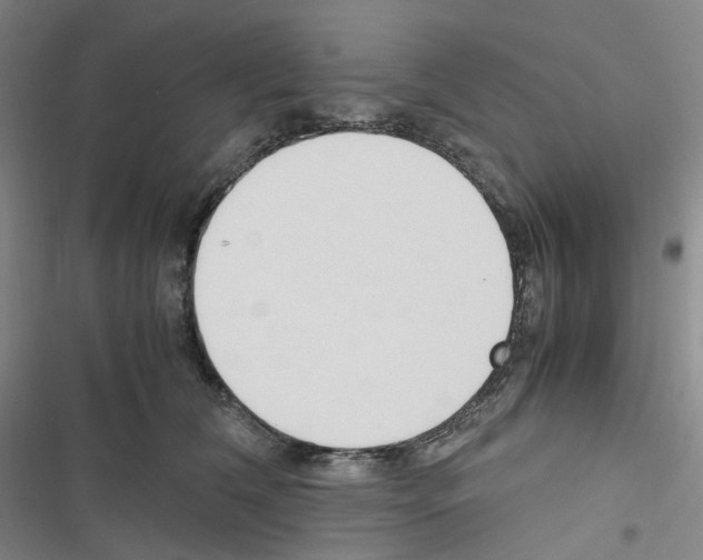 X0000116680612201001251301