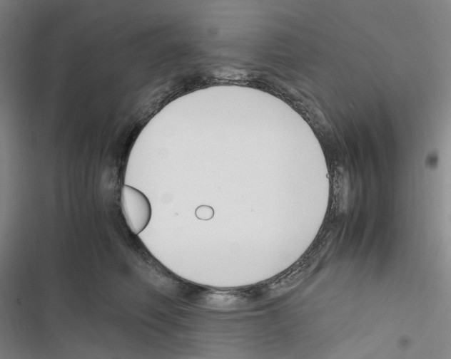 X0000116680614201001251301