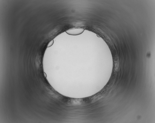 X0000116680618201001251301