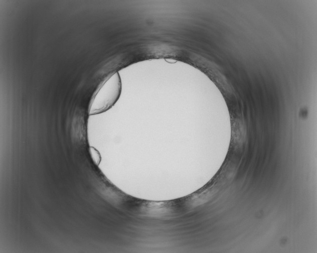 X0000116680622201001251301