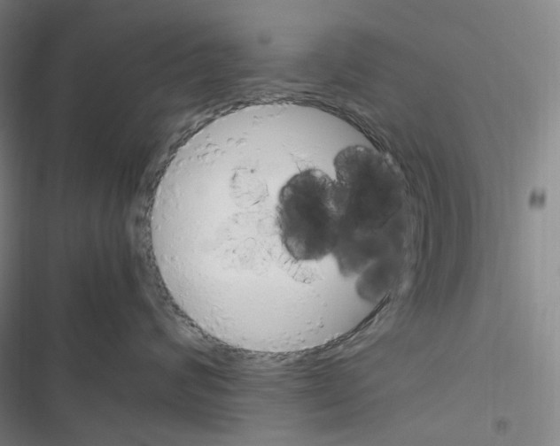 X0000116680624201001251301