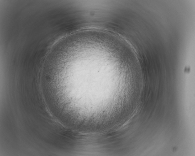 X0000116680625201001251300