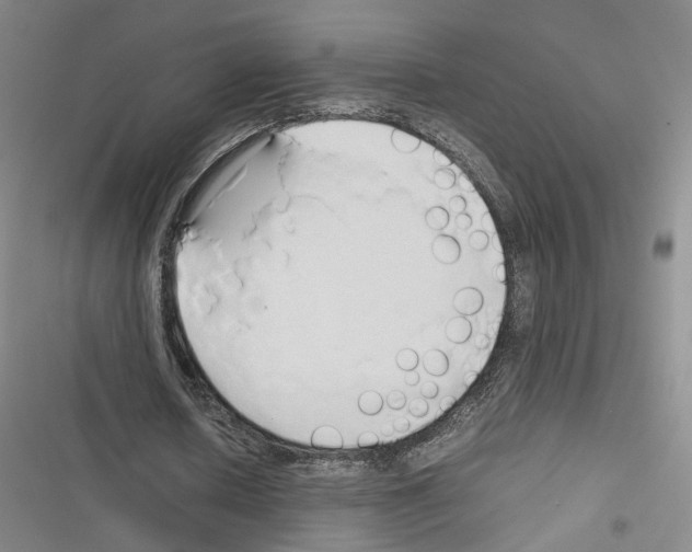 X0000116680626201001251300