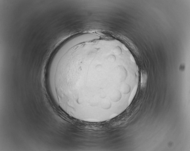 X0000116680627201001251301