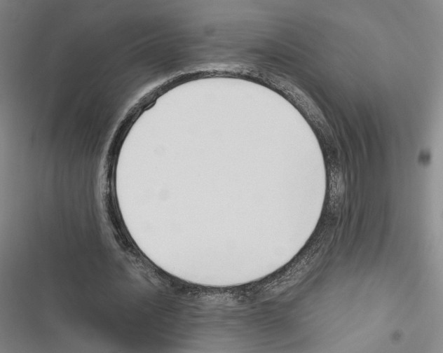 X0000116680628201001251301