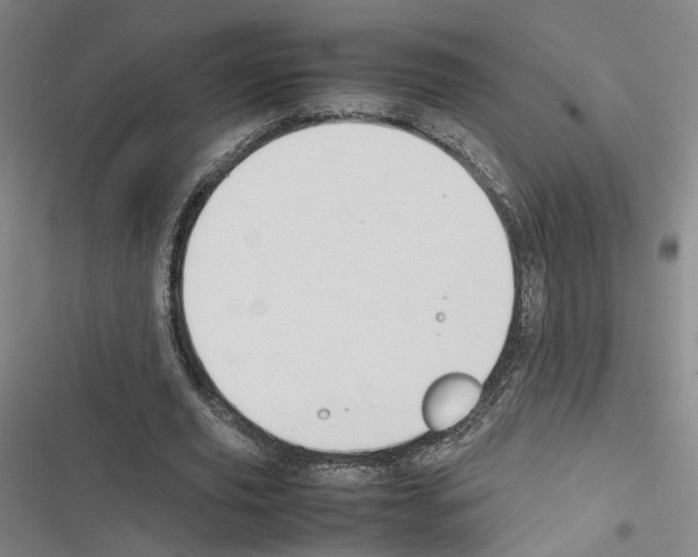 X0000116680629201001251301