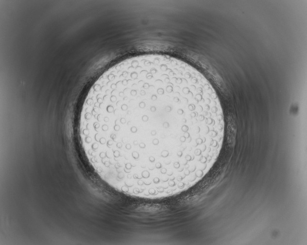 X0000116680631201001251301