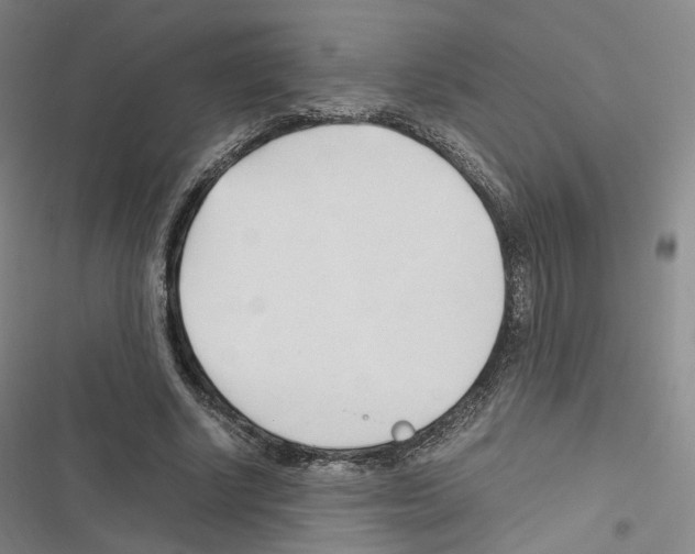 X0000116680634201001251301