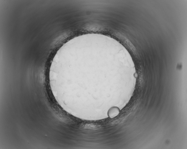 X0000116680635201001251301