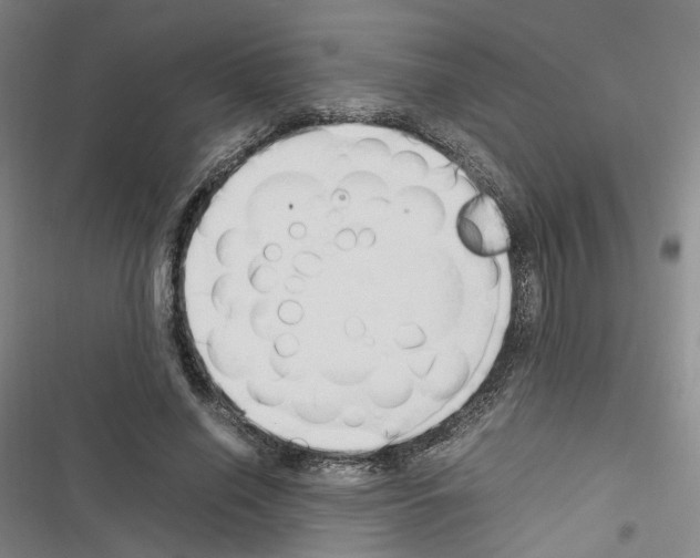 X0000116680638201001251301