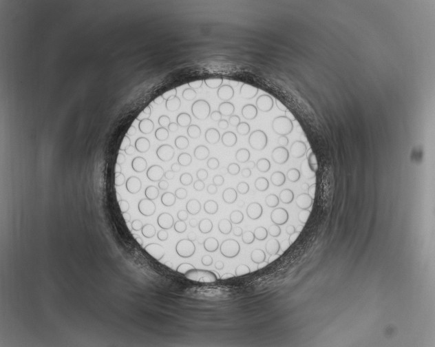 X0000116680639201001251301