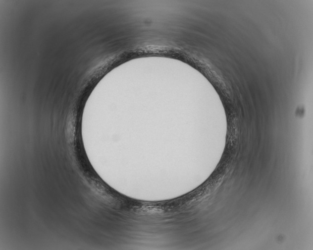 X0000116680640201001251301