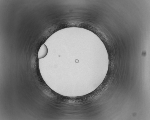 X0000116680641201001251301