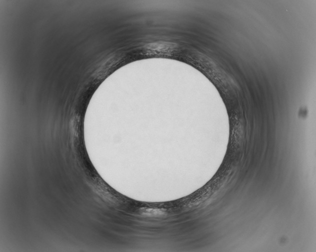 X0000116680649201001251301