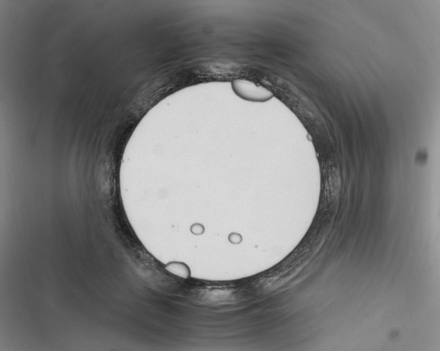 X0000116680651201001251301