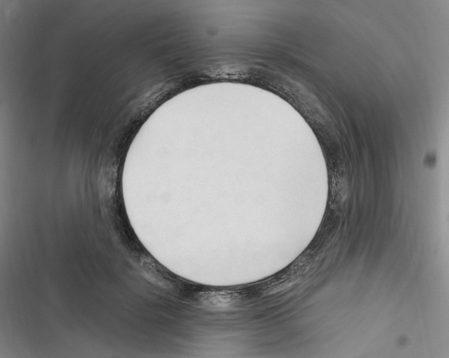 X0000116680652201001251301