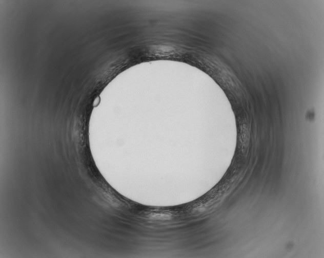 X0000116680653201001251301