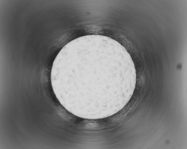 X0000116680658201001251301